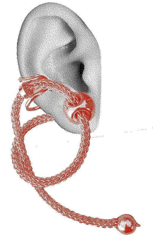 boucle d'oreille nodi modulable 2