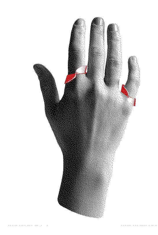 bague fata morgana portée